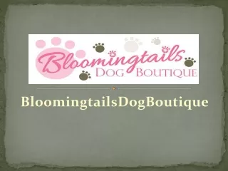 bloomingtailsdogboutique