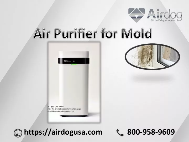 air purifier for mold