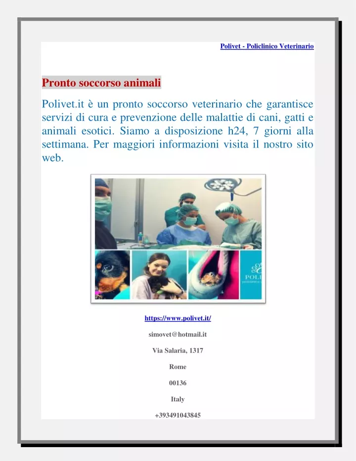 polivet policlinico veterinario