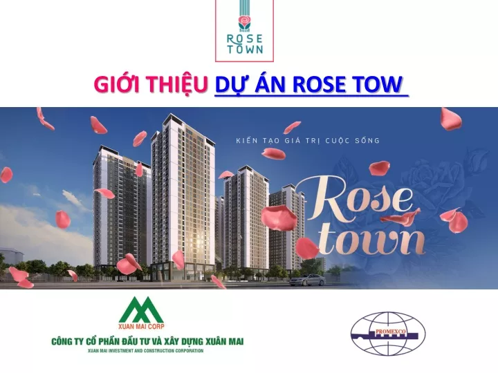 gi i thi u d n rose tow