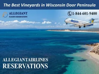 The Best Vineyards in Wisconsin Door Peninsula
