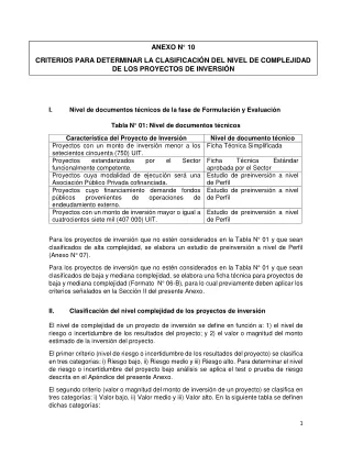 anexo n 10