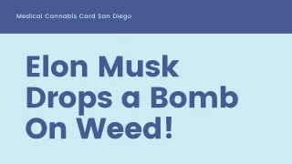 Elon Musk Drops a Bomb On Weed