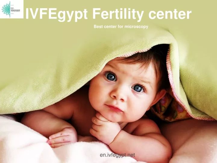 ivfegypt fertility center best center
