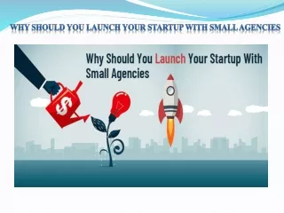 why should you launch your startup with small