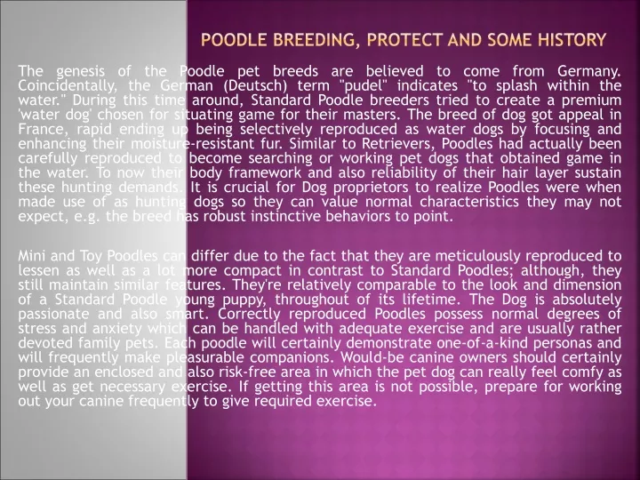 poodle breeding protect and some history