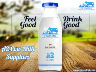 A2 Cow Milk Suppliers