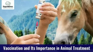 Vaccination and its importance in Animal Treatment | Spencer Veterinary Services