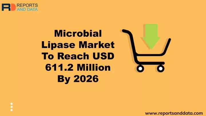 microbial lipase market to reach