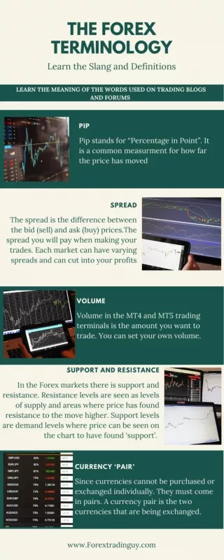 The Forex Terminology [Infographic]