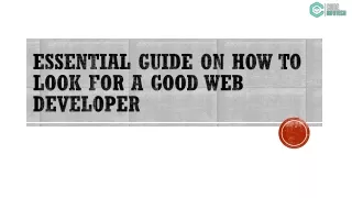 Essential guide on how to look for a good web developer.