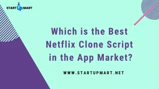which is the best netflix clone script