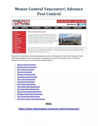 mouse control vancouver advance pest control