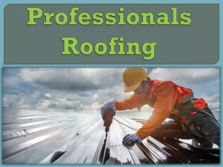 Professionals Roofing
