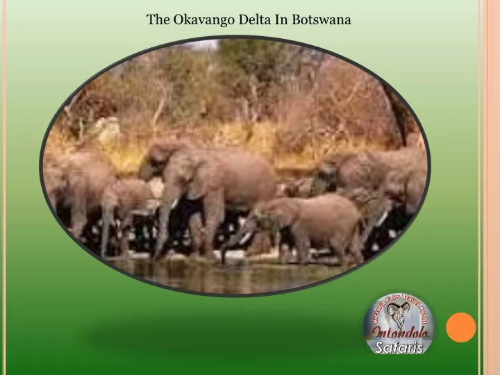 the okavango delta in botswana