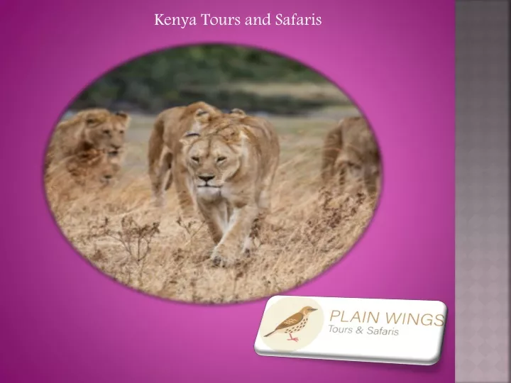 kenya tours and safaris