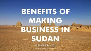 benefits of making business in sudan