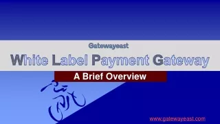 White Label Payment Gateway - A Brief Overview