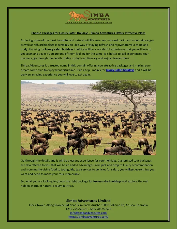 choose packages for luxury safari holidays simba