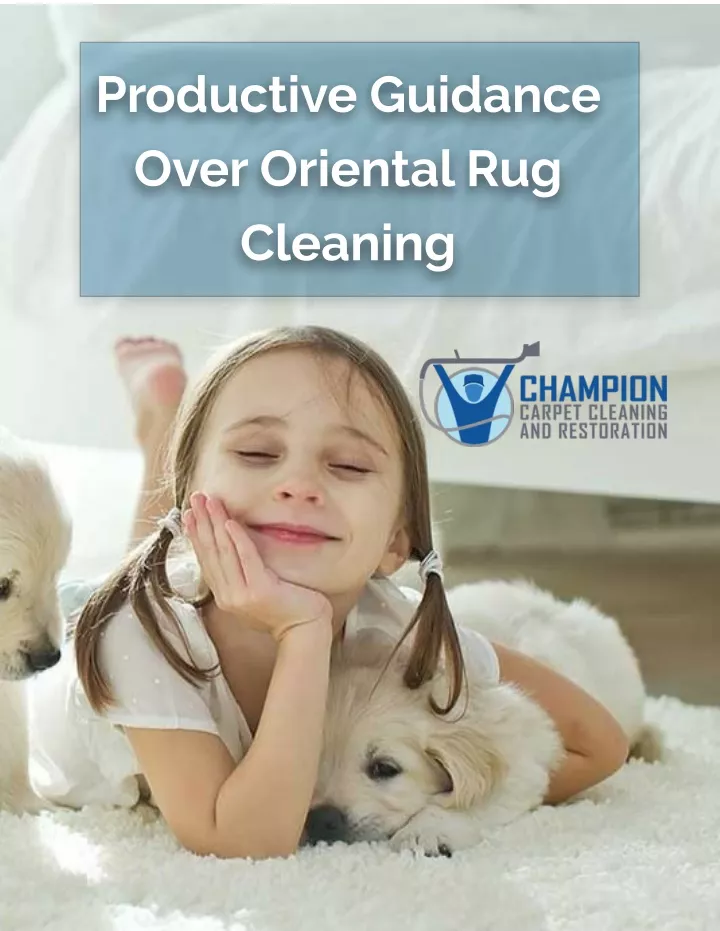 productive guidance over oriental rug cleaning