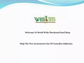 Help The New Generation Out Of Cannabis Addiction