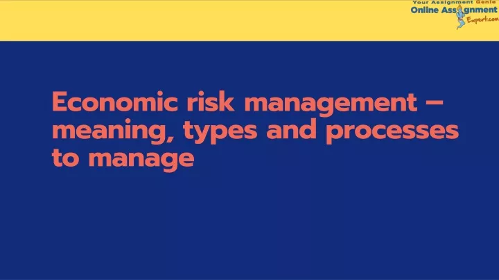 economic risk management meaning types