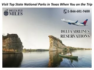 Visit Top State National Parks in Texas When You on the Trip
