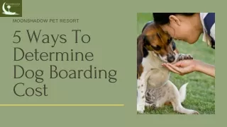 5 Ways To Determine Dog Boarding Cost