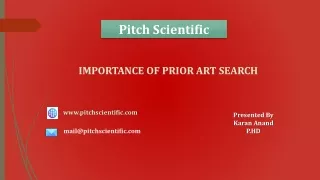 Prior Art Search Services | Prior Art Search USA