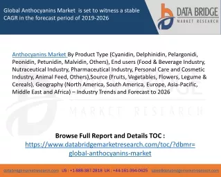 Global Anthocyanins Market  is set to witness a stable CAGR in the forecast period of 2019-2026