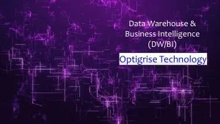 Optigrise Technology Solutions LLC, New Jersey