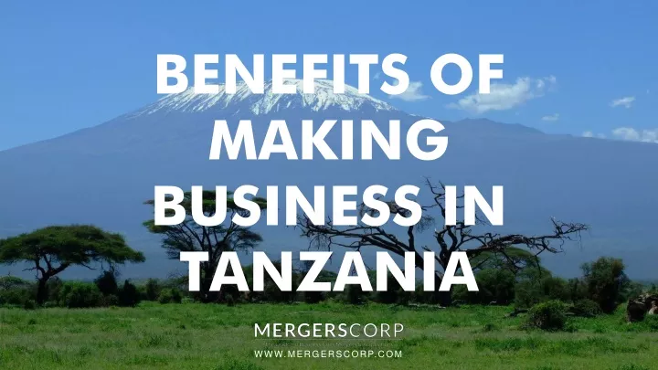 benefits of making business in tanzania