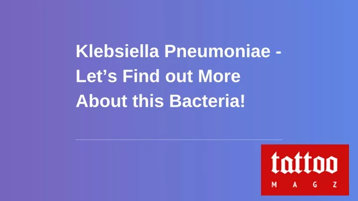 klebsiella pneumoniae let s find out more about