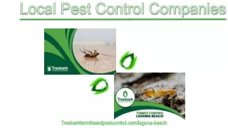 Local Pest Control Companies