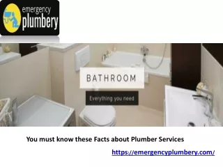 you must know these facts about plumber services