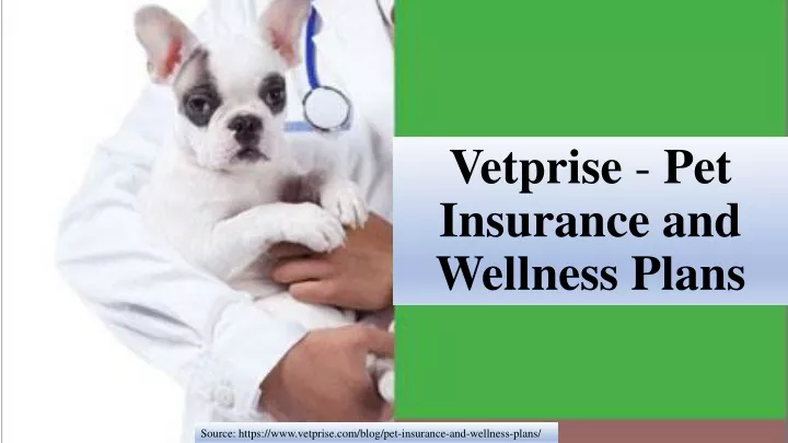 vetprise pet insurance and wellness plans