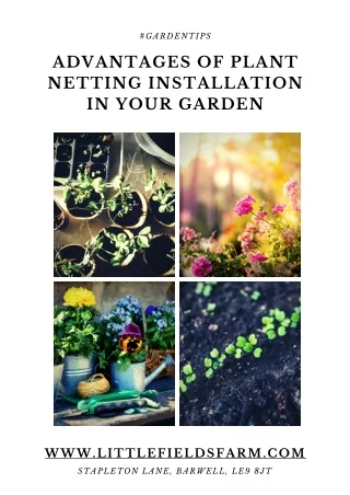 gardentips