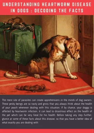 understanding heartworm disease in dogs decoding