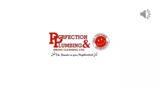 Premier Provider Of Quality Drain Cleaning & Plumbing Services -  Perfection Plumbing & Drain Cleaning Ltd.