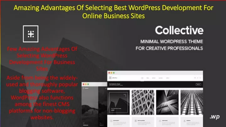 amazing advantages of selecting best wordpress development for online business sites
