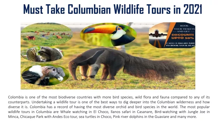 must take columbian wildlife tours in 2021