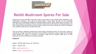 Reishi Mushroom Spores For Sale