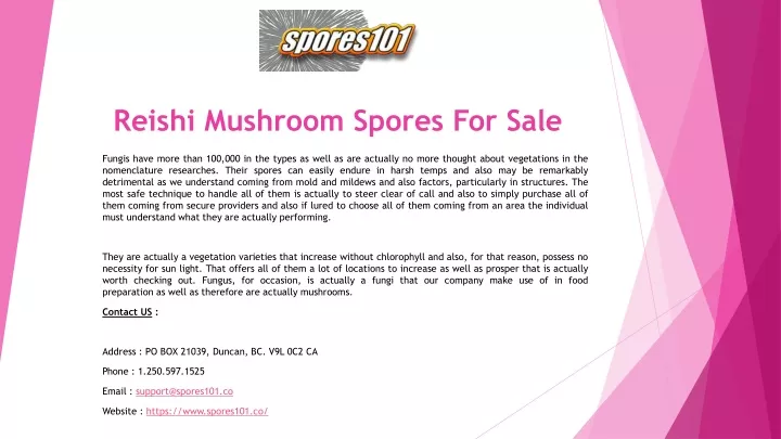 reishi mushroom spores for sale