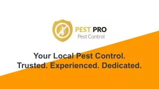 Ant Removal Services in Auckland - Pest Pro