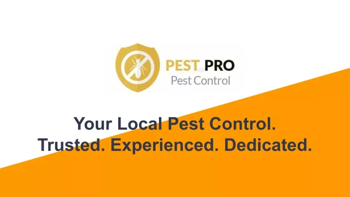 your local pest control trusted experienced
