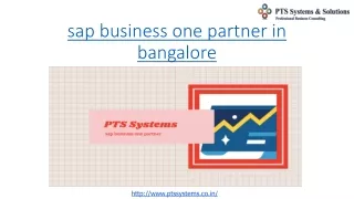 sap business one partner in bangalore