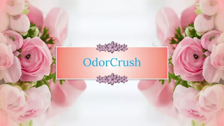 odorcrush