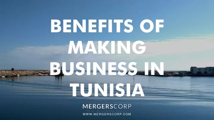 benefits of making business in tunisia