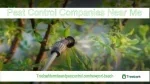 Pest Control Companies Near Me - slide 1