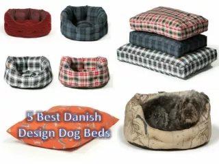 5 Best Danish Design Dog Beds